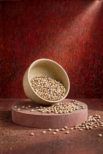 PREMIUM SAARAPARUPU 100G