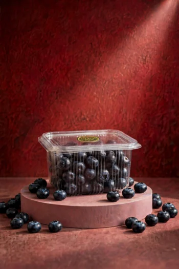 PREMIUM BLUEBERRY DRYFRUIT 250G