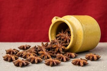 PREMIUM STAR ANISE 100G